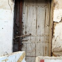 IMG_2964