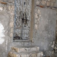 IMG_2968