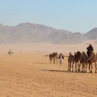 img_6266_1
