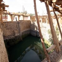 img_7424