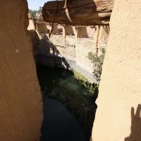 img_7428