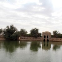 img_0445