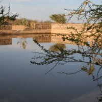 img_2329
